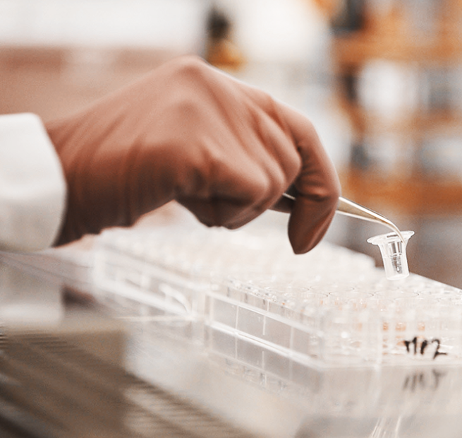 IQOS_cigaretes_karsējamā_tabaka_zobu_emaljas_krāsa_smēķēšana